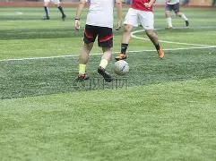 大乐透,期专家质合,分析推荐复,Bet365官网,bet365体育,bet365中国怎么用,bet365中国备用网址,bet365足球,bet365台湾,bet365开户,bet365网站