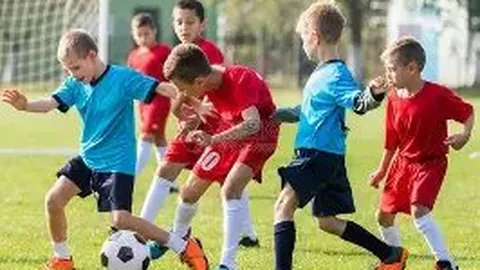 新食品安全国家标准详尽解读，不容错过